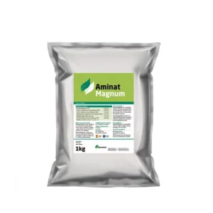 AMINAT MAGNUM