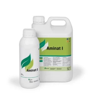 Aminat-I