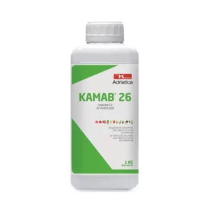 KAMAB 26