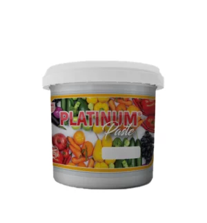 PLATINUM 18.46.0 plus TE